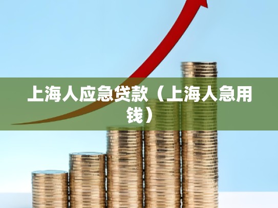 上海人应急贷款(上海人急用钱) 上海人应急贷款(上海人急用钱)