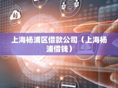 上海杨浦区借款公司（上海杨浦借钱）